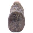 (image for) Bizzarre Beast Camel Fake Pussy