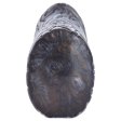 (image for) Bizzarre Beast Monkey Fake Pussy