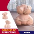 (image for) Bob Realistic Torso Sex Doll with Big Boobs and Hips