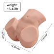 (image for) Sydni Sex Doll Torso with Auto Sucking