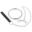 (image for) Stainless Steel Bandage Collar and Leash Set
