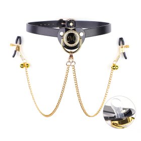 Pacifier Mouth Gag With Nipple Clamp Clip