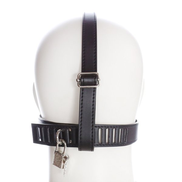 (image for) Human Ashtray Penis Gag Harness