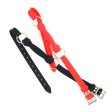 (image for) Silicone Bone Gag with Silicone Strap