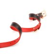 (image for) Double Layer Collar and Leash
