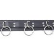 (image for) Fetish 3 Ring Slave Collar