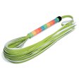 (image for) Couples Fun Training Whip