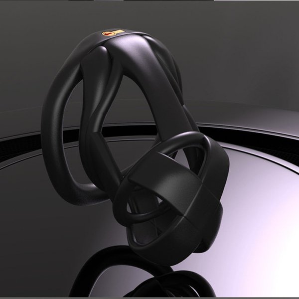 (image for) Model X Male Chastity Cage