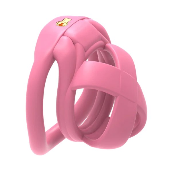 (image for) Model X Male Chastity Cage
