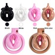 (image for) Sissy PussyChastity Cock Cage
