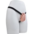 (image for) Imitation Labia Chastity Cage