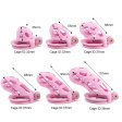 (image for) Pink Cobra 6.0 Chastity Cage Kit