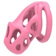 (image for) Cobra ES6 Chastity Device Kit Hide Lock