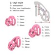 (image for) Cobra ES6 Chastity Device Kit Hide Lock
