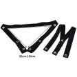 (image for) Metal Feminizer Flying-V With Belt Type 1