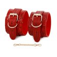 (image for) Crocodile Pattern Role Play Punishment Kit