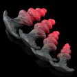 (image for) Fantasy Monster Wearable Anal Plug