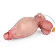 (image for) Squirting Inflatable Realistic Skin Lifelike Dildo