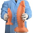 (image for) Sea Cucumber Realistic Dildo