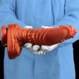 (image for) Monster Fish Silicone Lifelike Dildo