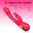 (image for) Trisha Rabbit Vibrator