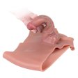 (image for) Lifelike Penis Sleeve Extender Strap-On