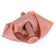 (image for) Lifelike Penis Sleeve Extender Strap-On