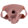 (image for) 10.5 Inches Wearable Hollow Dildo