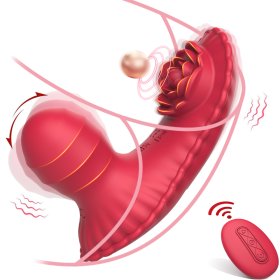 Sera Clitoris and G-spot Panty Vibrator
