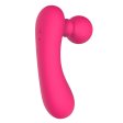 (image for) Duo Motor Magic Vibrator