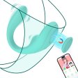 (image for) Wearable App Controlled Panty Vibrator