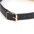 (image for) Harmonica Bit Gag