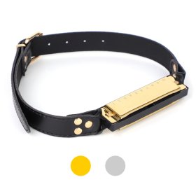 Harmonica Bit Gag