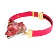 (image for) Fantasy Mouth Opener Gag - Dog Head