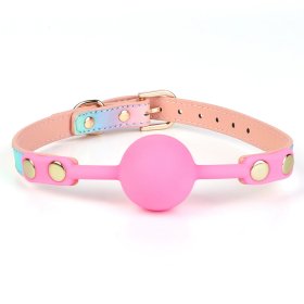 Rainbow Silicone Ball Gag Oral