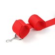 (image for) Back Restraints With Anal Hook