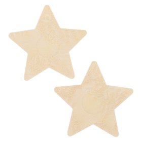 Lace Star Nipple Pasties
