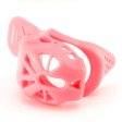 (image for) Swallow Tail Chastity Cage Device