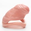 (image for) Flesh Realistic Chastity Device