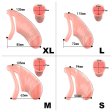 (image for) Flesh Realistic Chastity Device