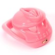 (image for) Embedded Sissy Chastity Cage