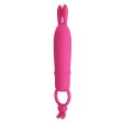 (image for) Silicone Bunny Clitoris Vibrator