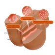 (image for) Suction Vibrating Sex Talk Ass