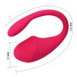 (image for) APP Controlled Strap On Vibrator