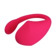 (image for) APP Controlled Strap On Vibrator