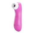 (image for) Clitoris Suction Stimulator