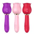 (image for) Double-sided Rose Wand Sucking Vibrator