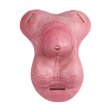 (image for) Baby Carrot Strap on Ftm Packer - C