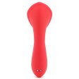 (image for) Clitoris Vagina Labia Vibrator
