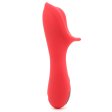 (image for) Clitoris Vagina Labia Vibrator